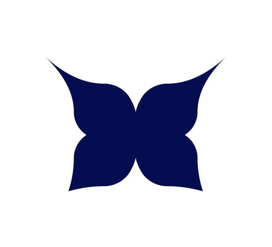 bmg logo social